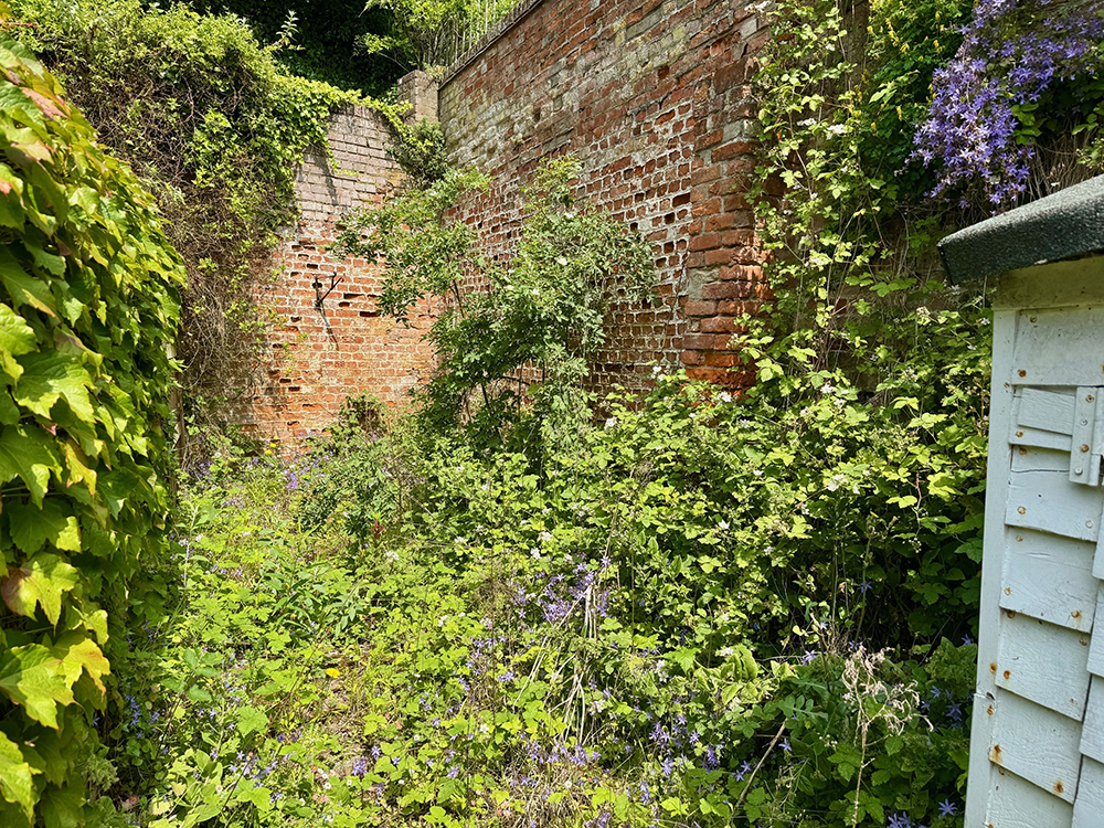 Lot: 130 - END-TERRACE PERIOD COTTAGE - Courtyard area